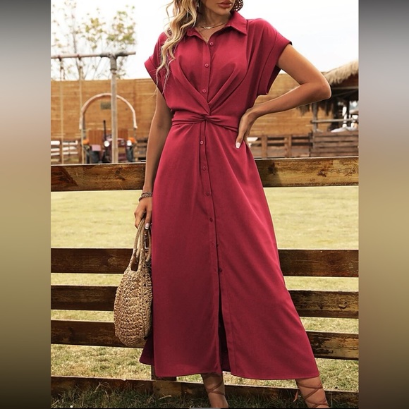 Classic button front dress - Picture 3 of 16